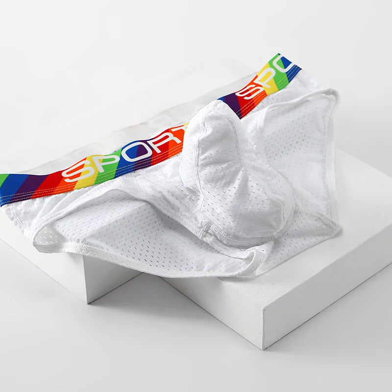 Men underwear Briefs Sexy Low Waist Nylon Mens Breathable U Pouch boy Bag Boys Breathable Silk Summer Sexi Nightwear hombre Pant